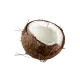 Coconut Oil