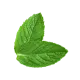 Peppermint