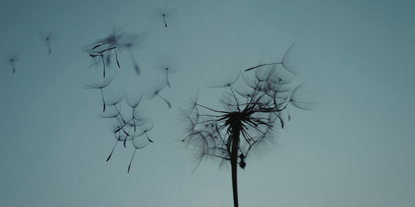 This Evening Routine Will Help You Wind Down Fast