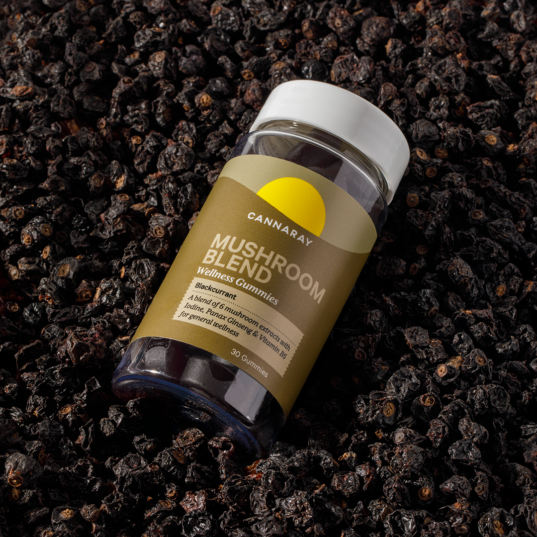 What Are Mushroom Gummies and What Do They Contain?
