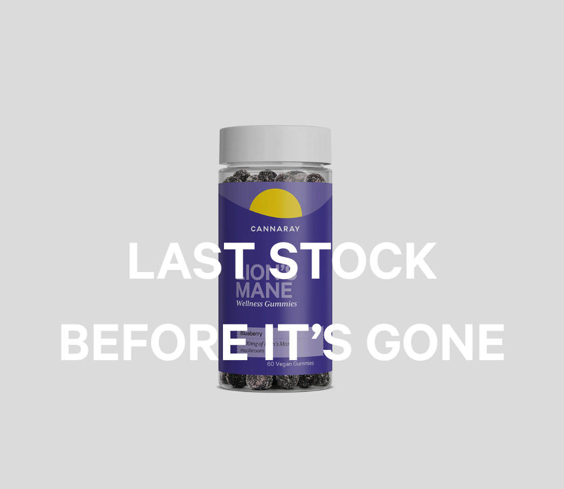 Blueberry Lion's Mane Wellness Gummies - Last Stock