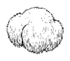 Step 3 icon