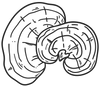 Step 4 icon
