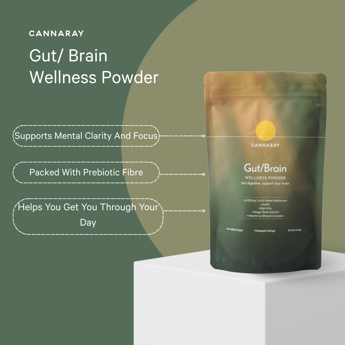 Cannaray Gut/Brain Powder - Mango & Pineapple Blend – key benefits infographic
