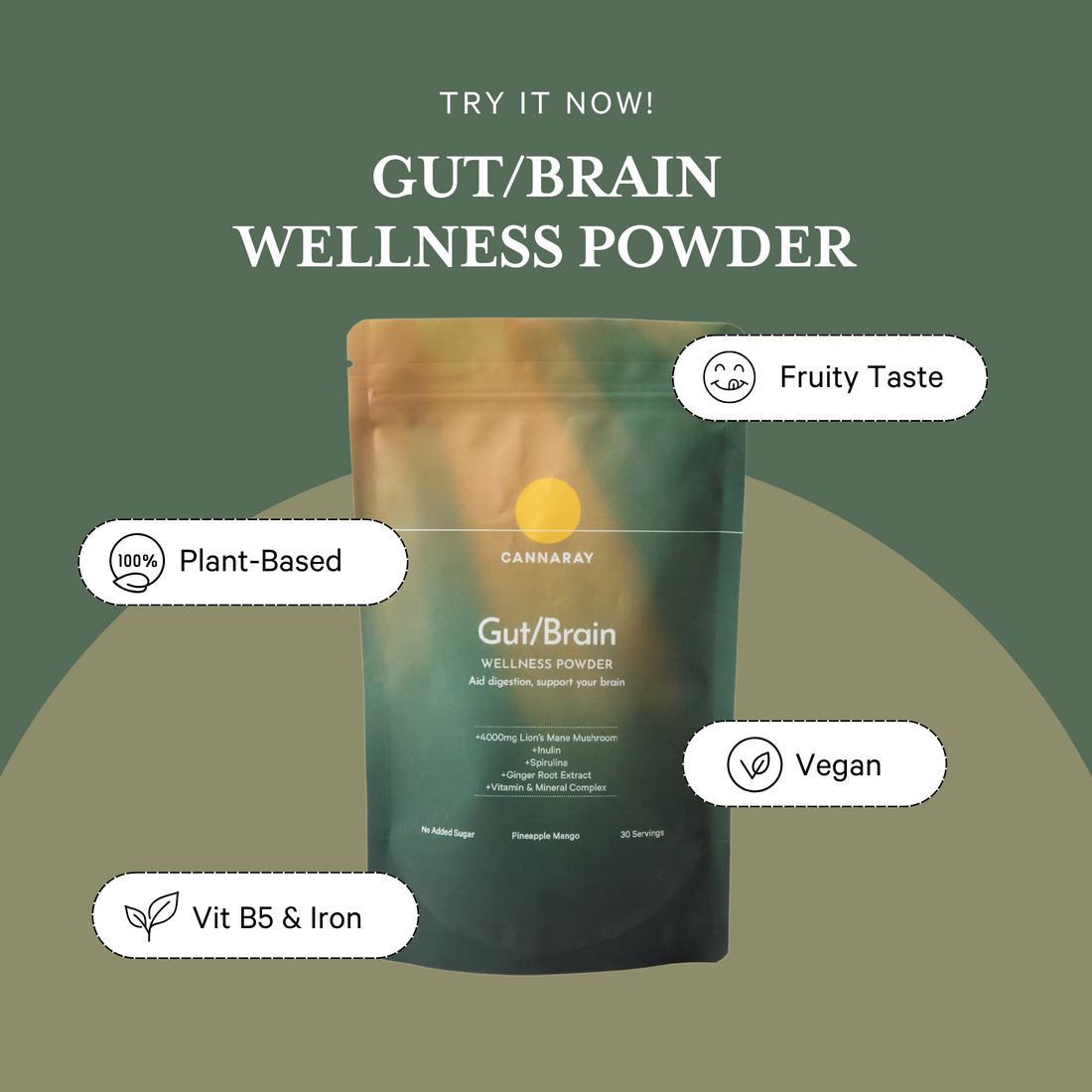Cannaray Gut/Brain Powder - Mango & Pineapple Blend – product feature icons