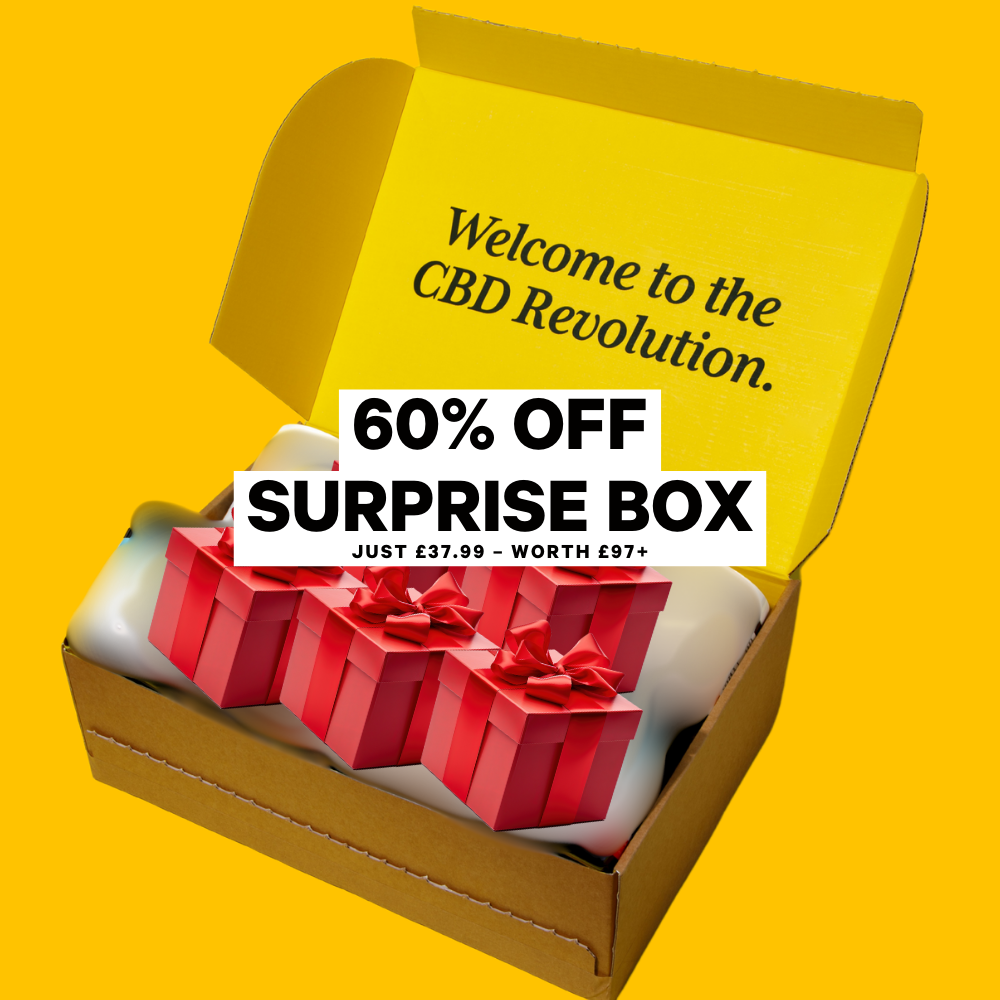 Surprise Christmas Box