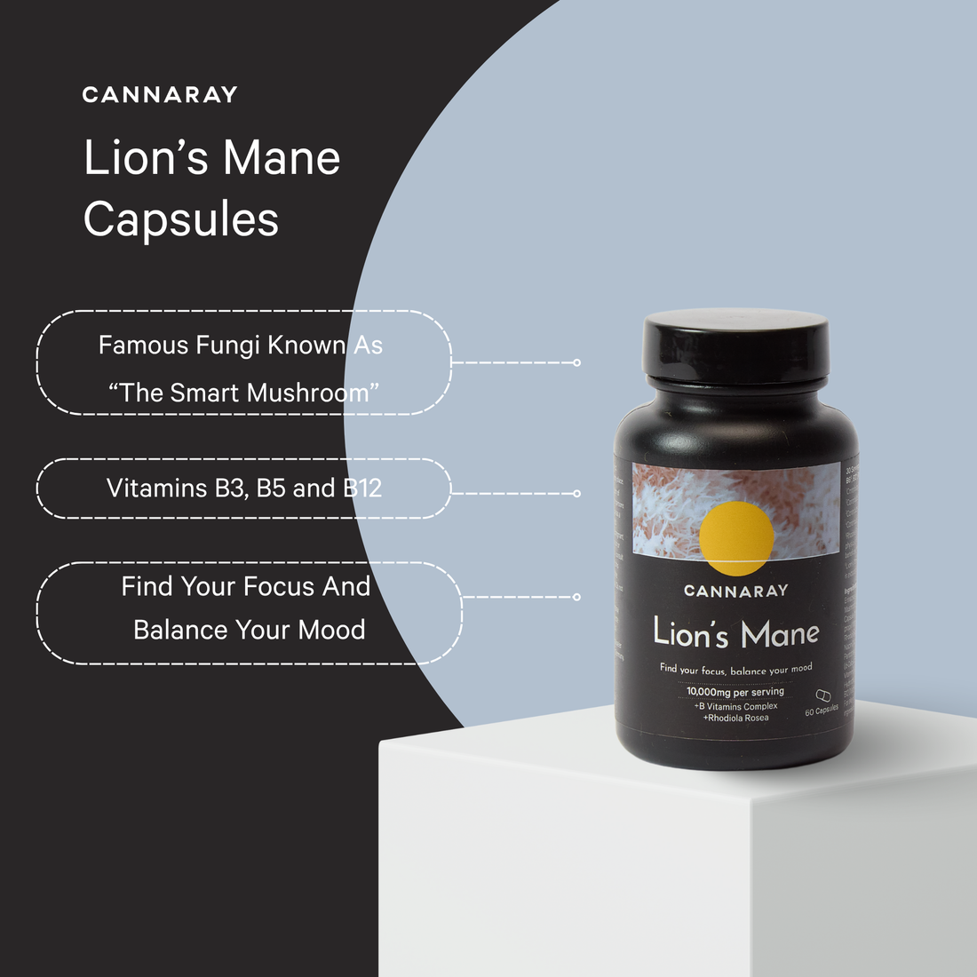 Cannaray Lion's Mane – key benefits infographic
