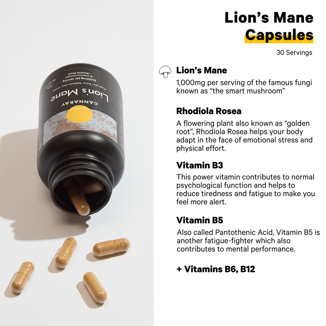 Cannaray Lion's Mane – product feature icons