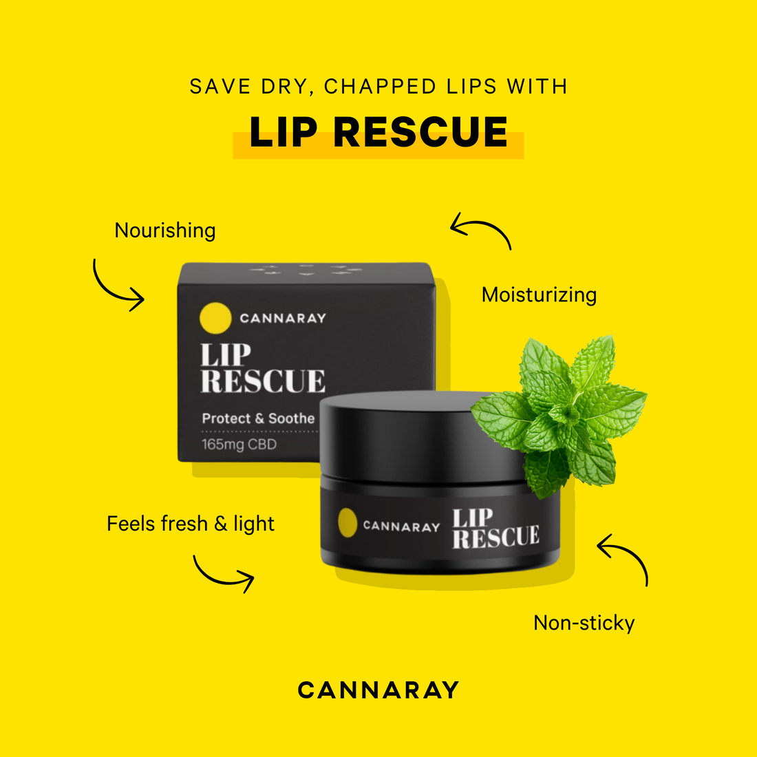 Cannaray Lip Rescue CBD Lip Balm – key benefits infographic