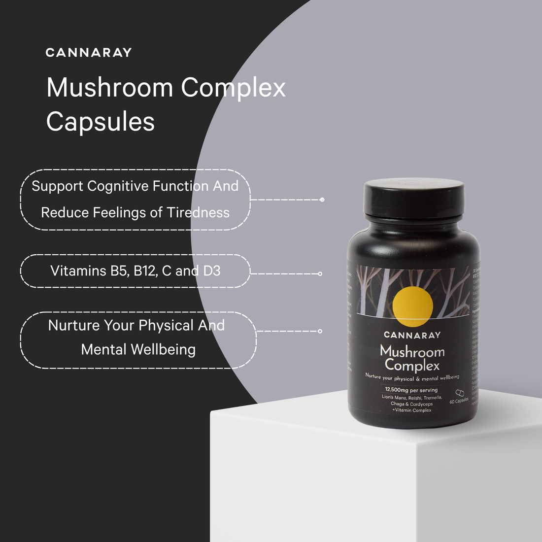 Cannaray Mushroom Complex – key benefits infographic