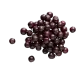 Elderberry