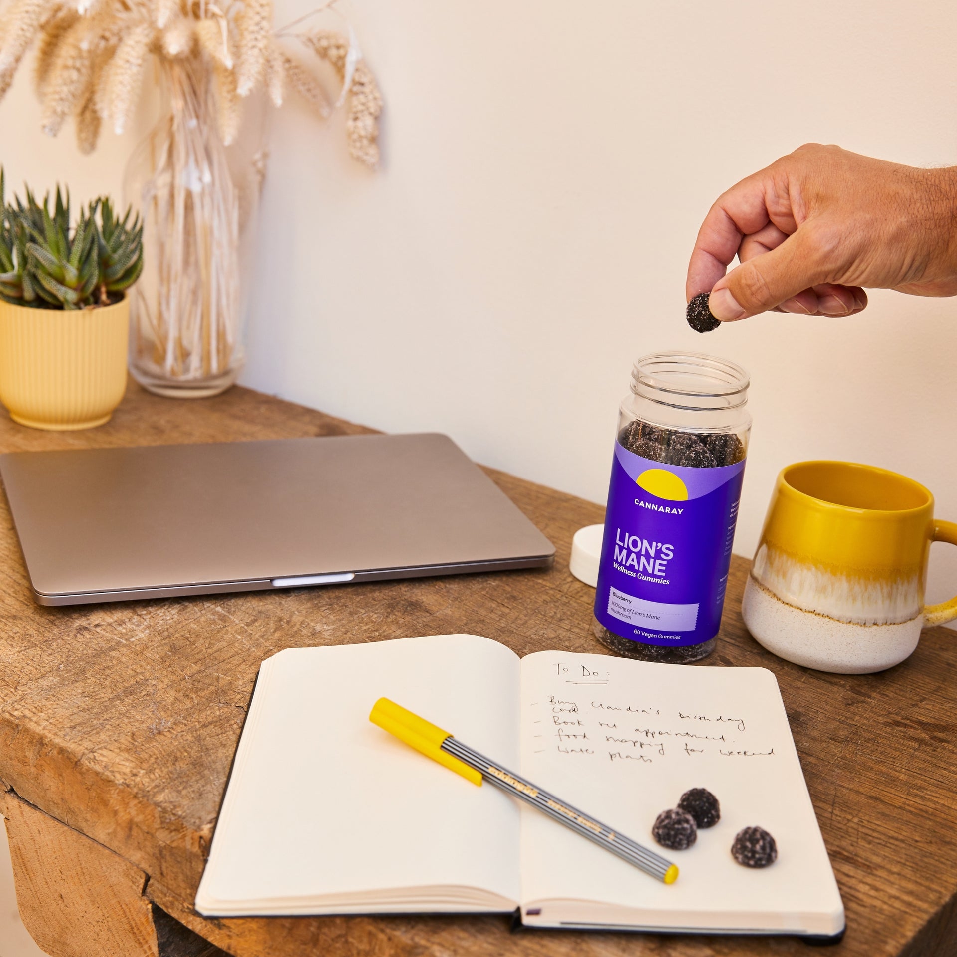 Cannaray Lion's Mane Wellness Gummies on Desk