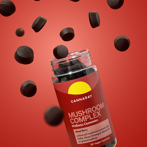 Mushroom Complex Gummies
